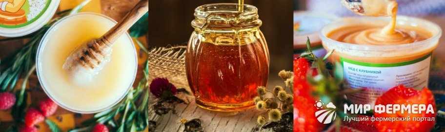 Как хранить мед в домашних условиях