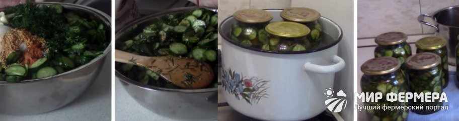 Салат из огурцов с укропом на зиму