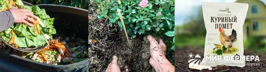 Органические удобрения для роз