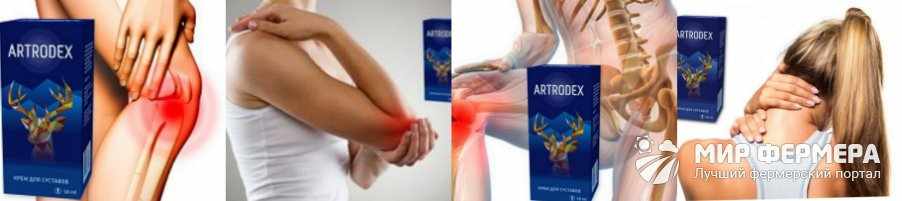 Крем для суставов Artrodex