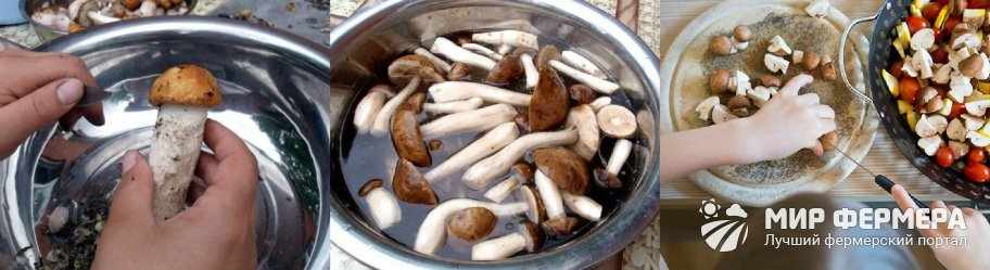 Сколько варить белые грибы для супа