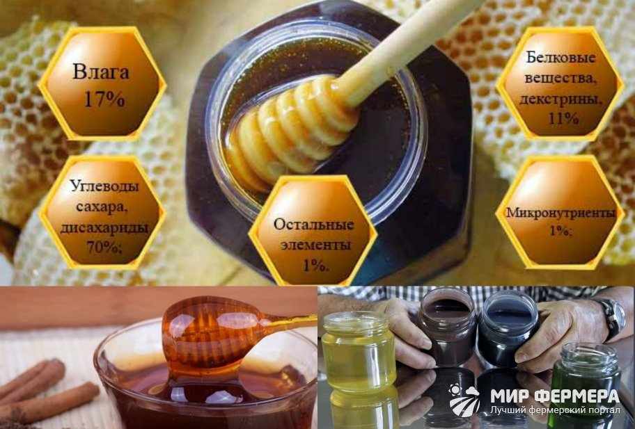 Падевый мед состав
