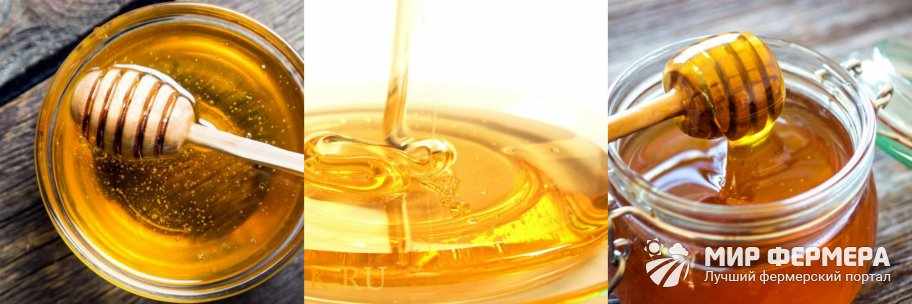 Как хранить мед жидким