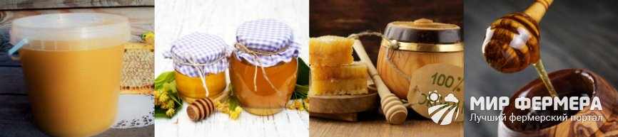 В чем хранить мед