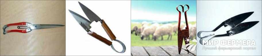 Ручные ножницы для стрижки овец