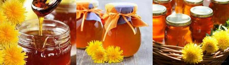 Одуванчиковый мед польза и вред