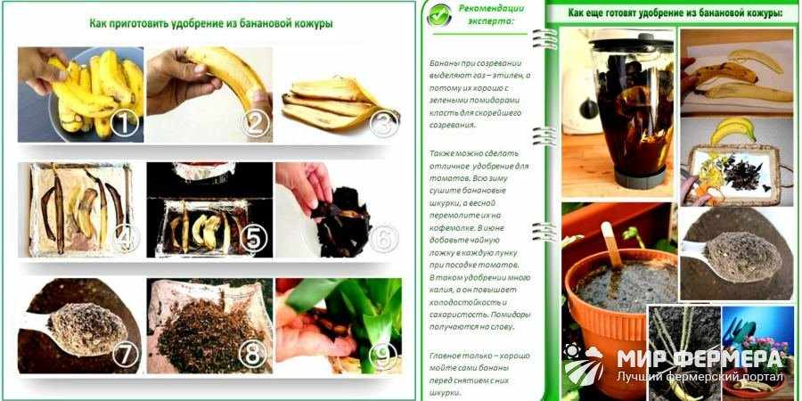 Как сделать подкормку из банановой кожуры