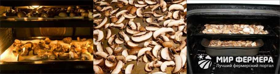 Как сушить грибы в духовке
