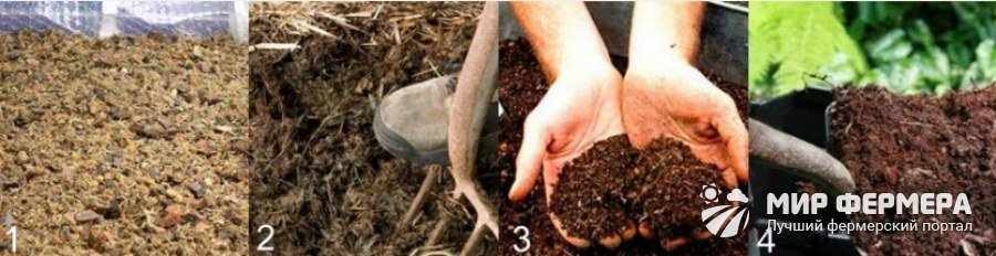 Как сделать компост для выращивания грибов