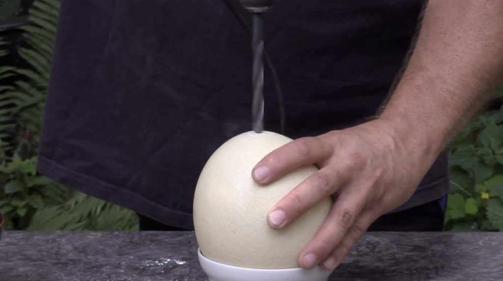 Как приготовить страусиные яйца