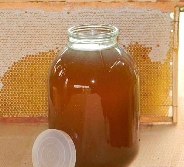 Кориандровый мед
