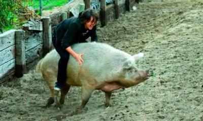 Девушка и свинья