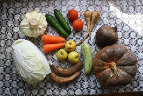 Сочные корма - овощи и фрукты