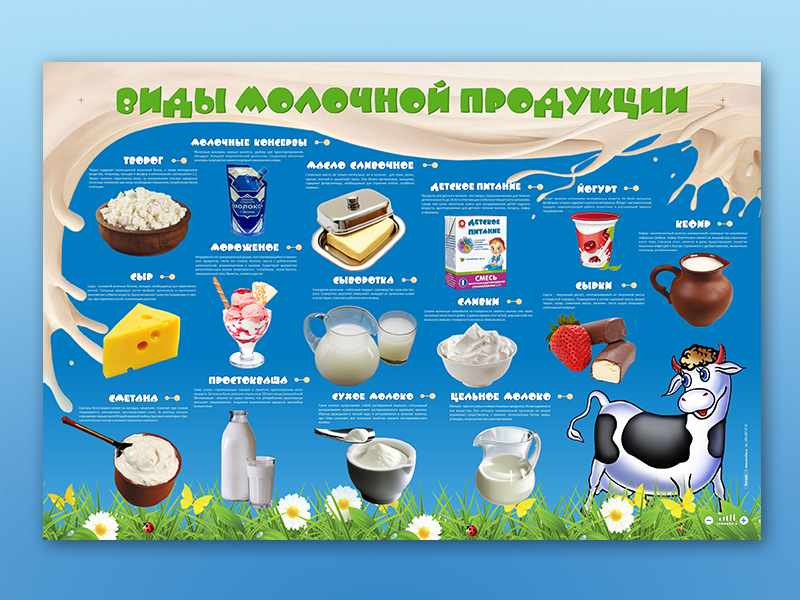 Виды молочной продукции
