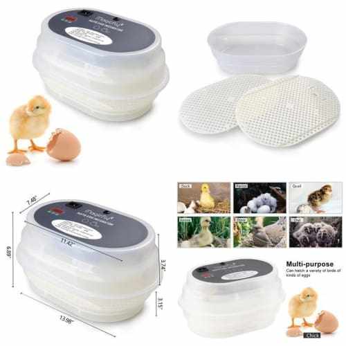 Magicfly Digital Mini Fully Automatic Egg Incubator 9-12 Eggs Poultry Hatch