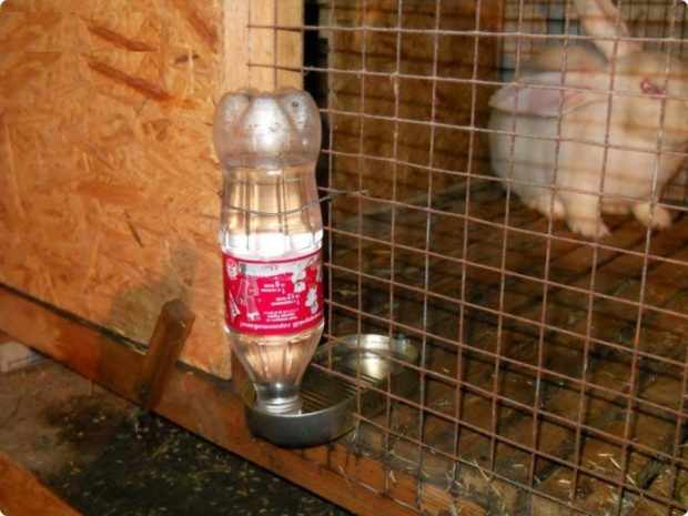 Поилка для кроликов из бутылки