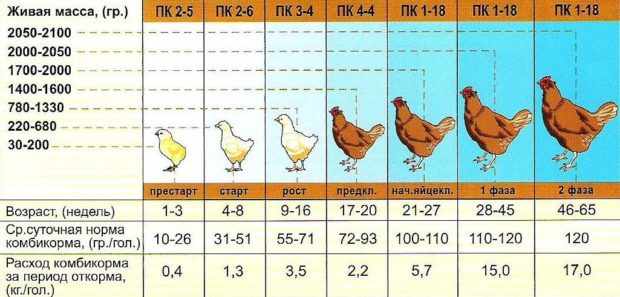 Расход готовых кормов в зависимости от возраста птицы