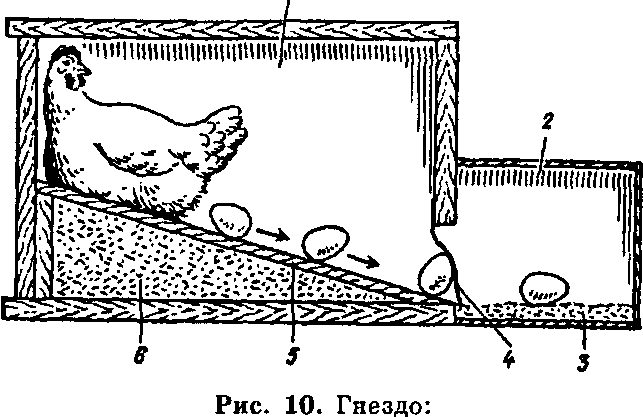 Схема гнезда