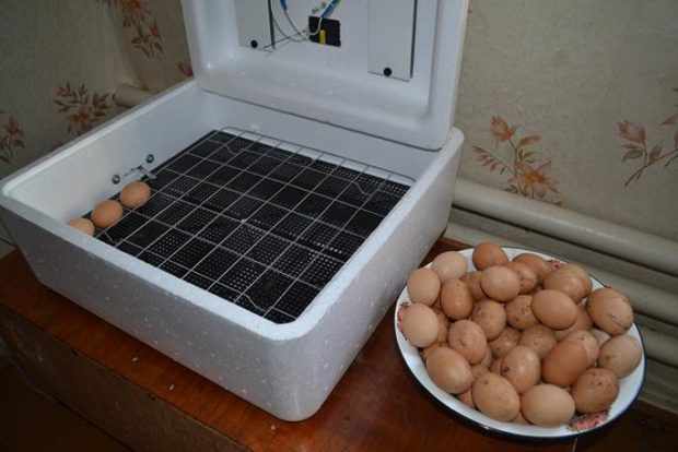 Модель ИБ1НБ на 35 куриных яиц
