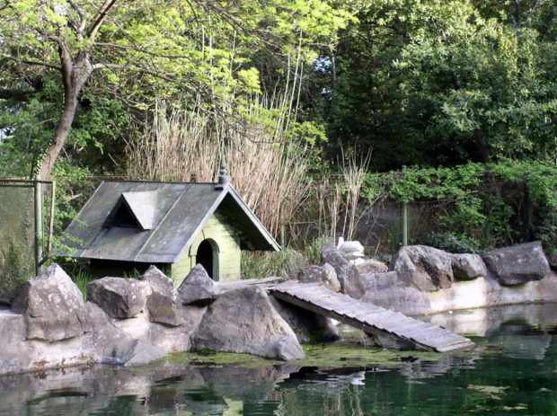 Домик для лебедя в парке у водоема