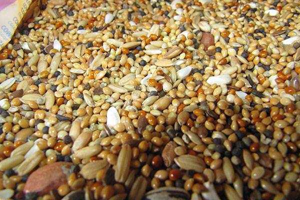Зерновая смесь - основа комбикормы
