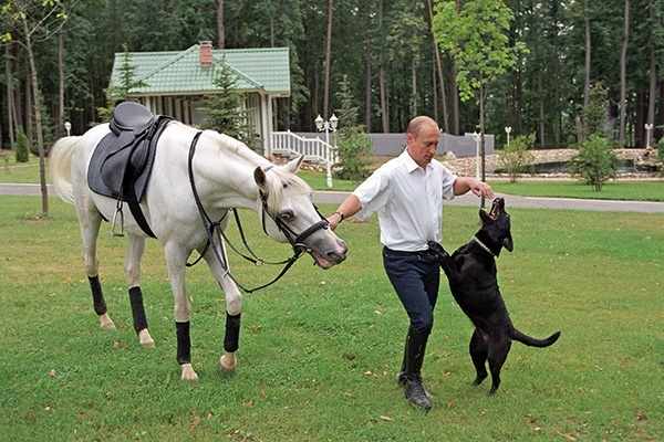 Лошадь в подарок Путину