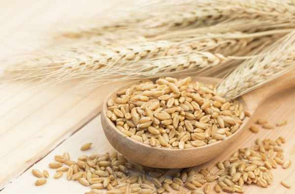Цельное зерно пшеницы