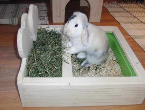 Лоток для кролика позволяет содержать все в чистоте
