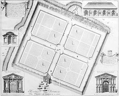 План Оксфордского сада 