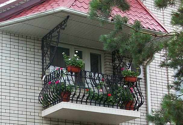 Выращивание растений на балконе