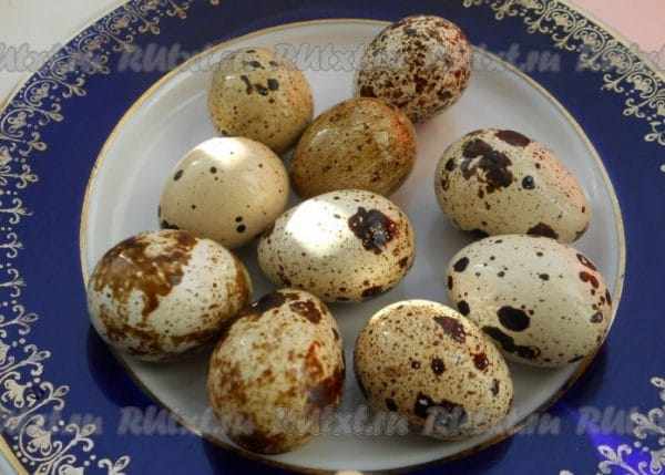 перепелиные яйца всплыли в холодной воде можно ли его есть