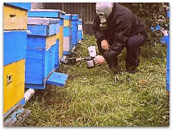 Обработка пчел дым-пушками с растворами