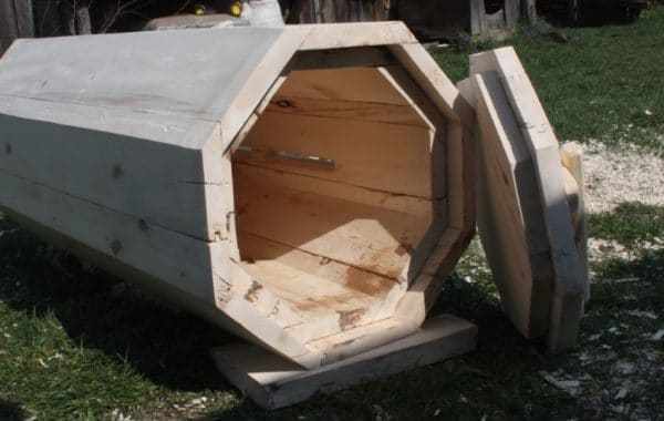 Что такое колодное пчеловодство?