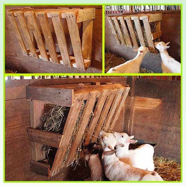 Простой деревянный вариант кормушки для козы