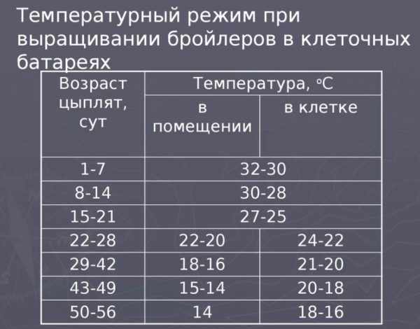 Температурный режим для выращивания бройлеров таблица