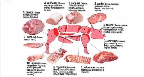 Разделка свиной туши: схема и описание