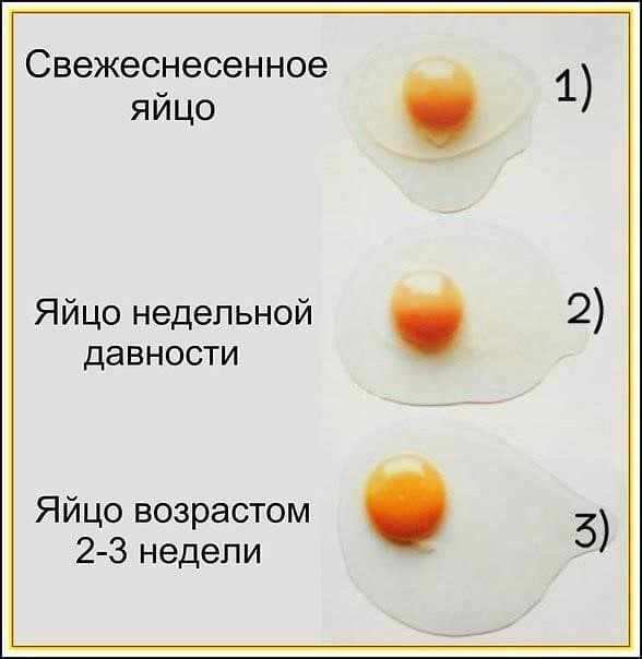 Как узнать, свежие ли яйца