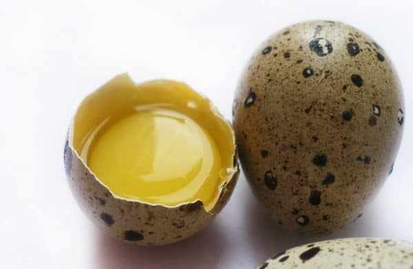перепелиные яйца всплыли в холодной воде можно ли его есть