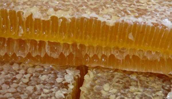 Применение забруса пчелиного