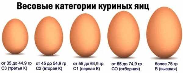 Категории яиц