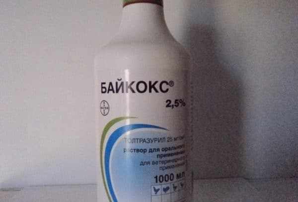 Байкокс — эффективный препарат для профилактики и лечения кокцидиоза