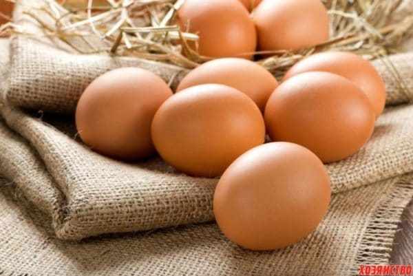 Сколько яиц несет курица в неделю