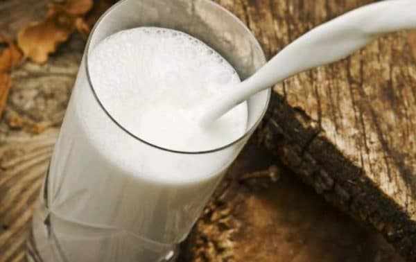 Средний показатель продуктивности в летнее время – 15-20 л молока