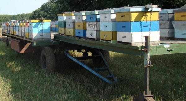 Платформа для перевозки пчел